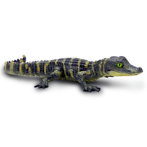 Safari Ltd Alligator Baby