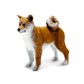 Safari Ltd Shina Inu