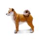 Safari Ltd Shina Inu