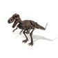 Dr. Steve Hunters Tyrannosaurus Rex Skeleton Dino Excavation Kit