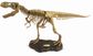 Dr. Steve Hunters Tyrannosaurus Rex Paleo Expeditions Full Model Skele