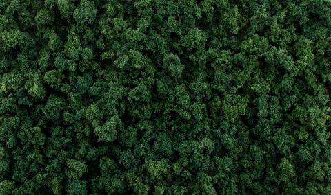 All Game Terrain, Dark Green Foliage Clumps