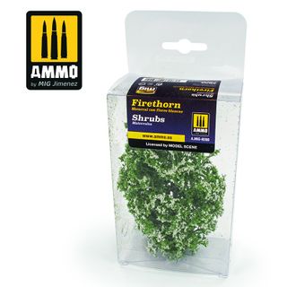 Ammo Shrubs Firethorn