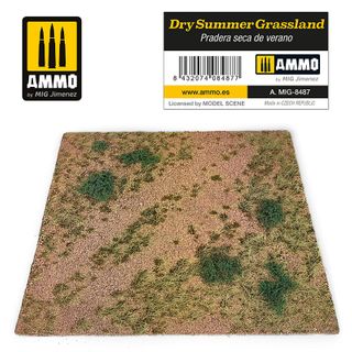 Ammo Dry Summer Grassland