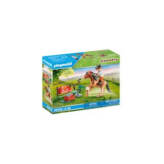 Playmobil Collectible Connemara Pony