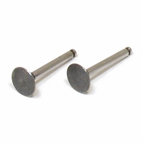 Saito Valve In/Out Pair