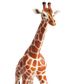 Safari Ltd Reticulated Giraffe WildlifeWonders