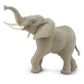 Safari Ltd African Elephant