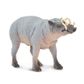 Safari Ltd Babirusa Wild Safari Wildlife *