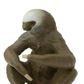 Safari Ltd Two-Toed Sloth