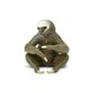 Safari Ltd Two-Toed Sloth Wild Safari Wildlife