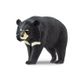 Safari Ltd Moon Bear