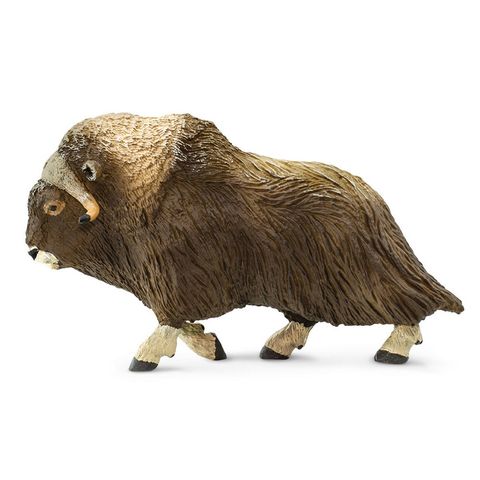 Safari Ltd Muskox North American Wildlife