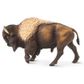 Safari Ltd Bison