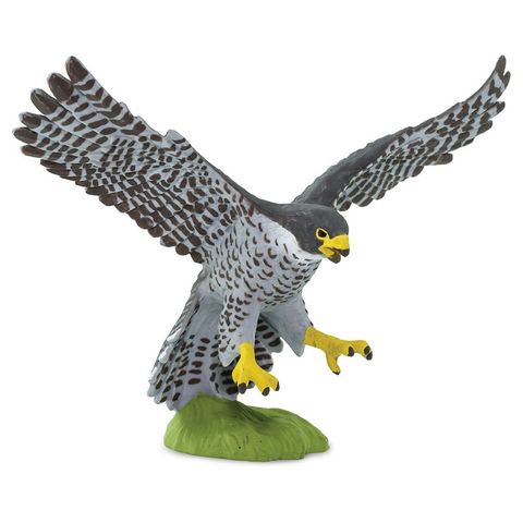 Safari Ltd Peregrine Falcon