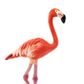 Safari Ltd Flamingo Wings Of The World