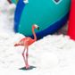 Safari Ltd Flamingo