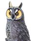 Safari Ltd Long Eared Owl