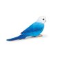 Safari Ltd Blue Budgie Wings Of The World