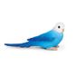 Safari Ltd Blue Budgie Wings Of The World