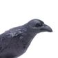 Safari Ltd Raven
