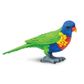 Safari Ltd Lorikeet Wings Of The World