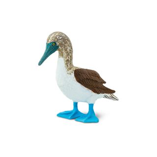 Safari Ltd Blue Footed Booby Wings Of The World