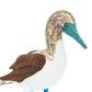 Safari Ltd Blue Footed Booby Wings Of The World