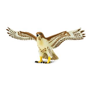 Safari Ltd Red Tailed Hawk