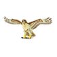 Safari Ltd Red Tailed Hawk Wings Of TheWorld