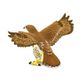 Safari Ltd Red Tailed Hawk Wings Of TheWorld