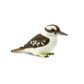 Safari Ltd Kookaburra Wings Of The World