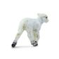 Safari Ltd Lamb