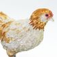 Safari Ltd Ameraucana Chicken