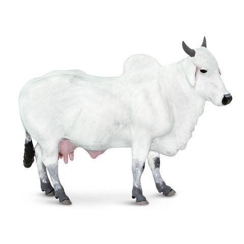 Safari Ltd Ongole Cow