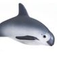 Safari Ltd Vaquita Porpoise Wild SafariSea Life