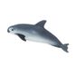 Safari Ltd Vaquita Porpoise