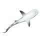 Safari Ltd Gray Reef Shark Wild SafariSea Life