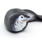 Safari Ltd Leopard Seal