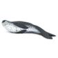 Safari Ltd Leopard Seal