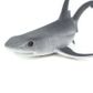 Safari Ltd Whitetip Reef Shark Wild Safari Sea Lif