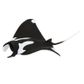 Safari Ltd Manta Ray Wild Safari Sea Life