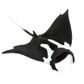 Safari Ltd Manta Ray Wild Safari Sea Life