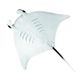 Safari Ltd Manta Ray Wild Safari Sea Life