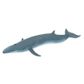 Safari Ltd Sei Whale