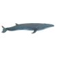 Safari Ltd Sei Whale Wild Safari Sea Life