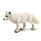 Safari Ltd Arctic Fox