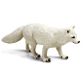 Safari Ltd Arctic Fox