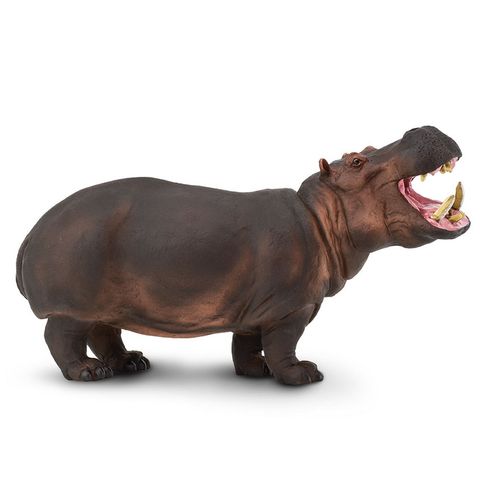 Safari Ltd Hippopotamus