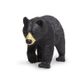 Safari Ltd Black Bear Wildlife Wonders